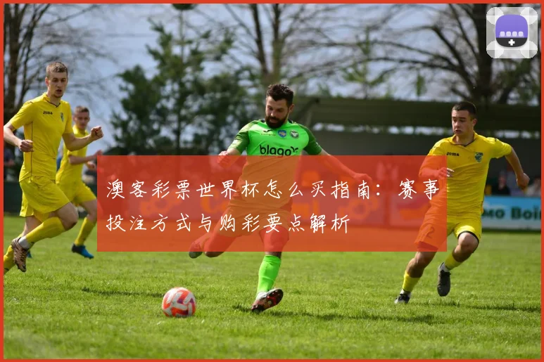 澳客彩票世界杯怎么买指南：赛事投注方式与购彩要点解析